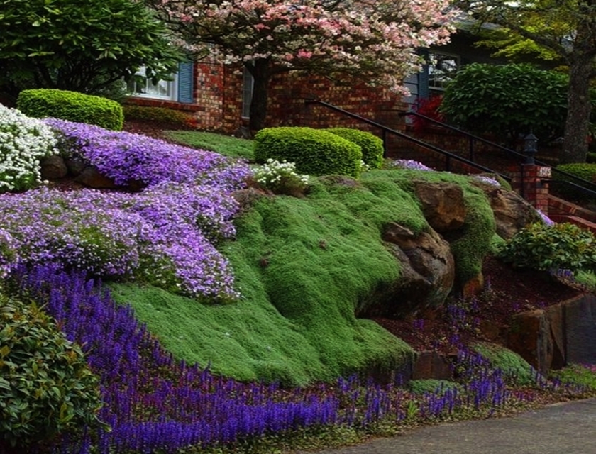 Online Sales Of Ornamental Grasses & Groundcovers Just Grass