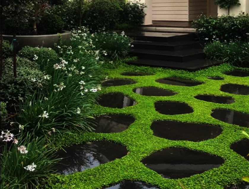 Online Sales Of Ornamental Grasses & Groundcovers Just Grass