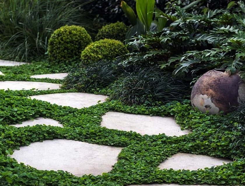 Online Sales Of Ornamental Grasses & Groundcovers Just Grass
