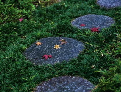 Online Sales Of Ornamental Grasses & Groundcovers Just Grass