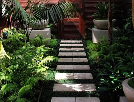 Online Sales Of Ornamental Grasses & Groundcovers Just Grass