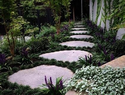 Online Sales Of Ornamental Grasses & Groundcovers Just Grass