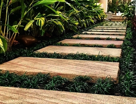 Online Sales Of Ornamental Grasses & Groundcovers Just Grass