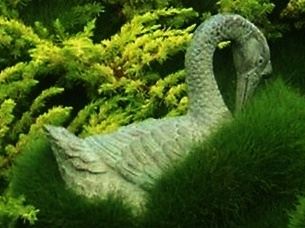 Online Sales Of Ornamental Grasses & Groundcovers Just Grass