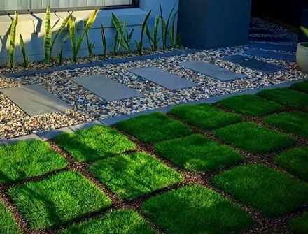 Online Sales Of Ornamental Grasses & Groundcovers Just Grass