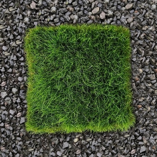 Online Sales Of Ornamental Grasses & Groundcovers Just Grass